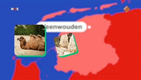 Het NOS Jeugdjournaal | NOS Jeugdjournaal
